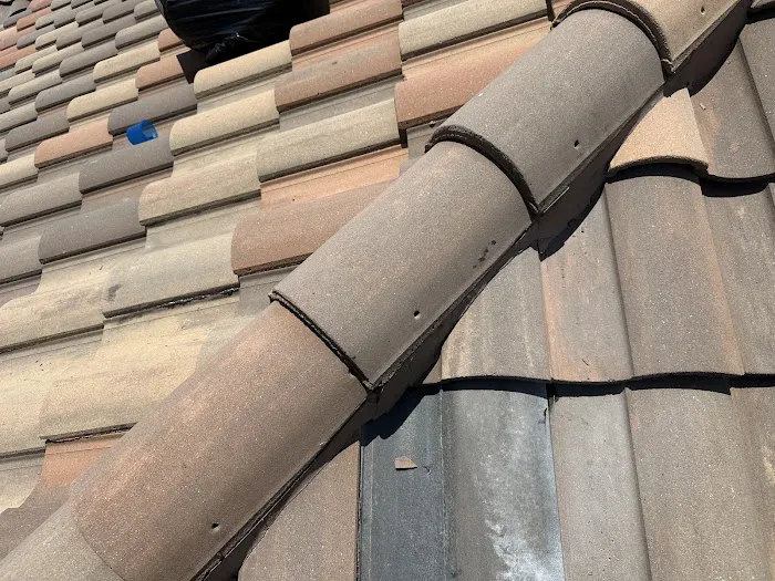 Florida Roofing Team Picture 4