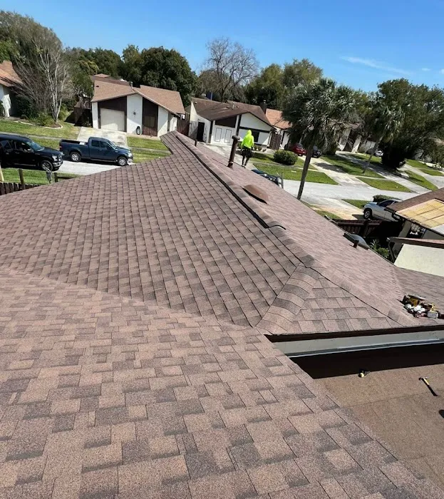 Koala Roofing Picture 8