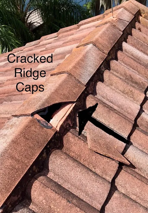 Tile Roof Pro Picture 2