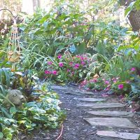 All Ways Roofing LLC ico