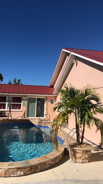 U.S. Shingle Picture 3