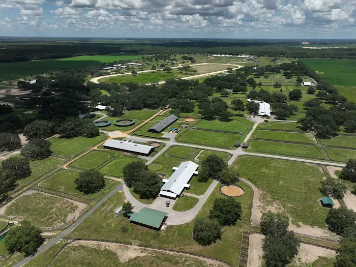 Certified Roofing Solutions, LLC Picture 6