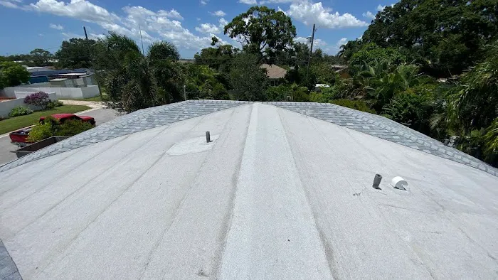 Professional Roof Technology Picture 1