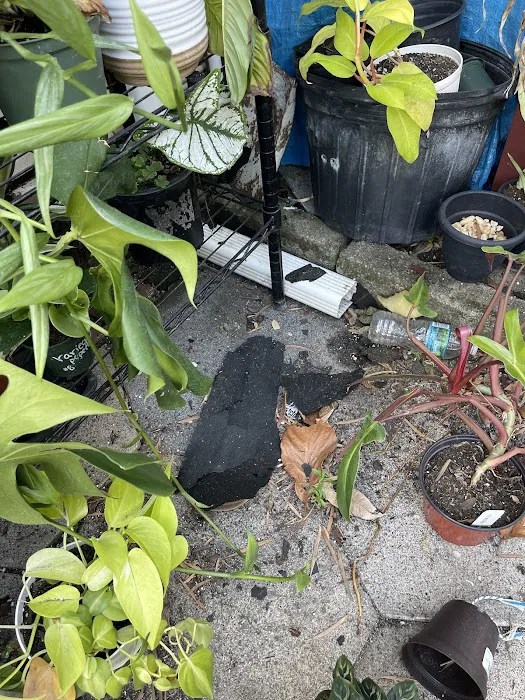 Fortress Roofing Inc Picture 3