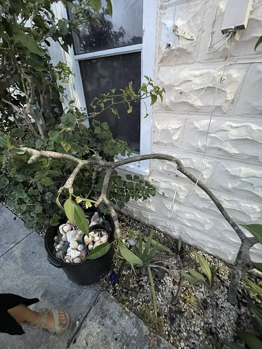 Fortress Roofing Inc Picture 4