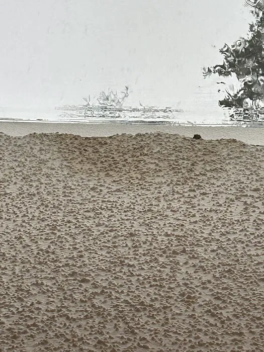 Florida Roof Specialists Picture 8