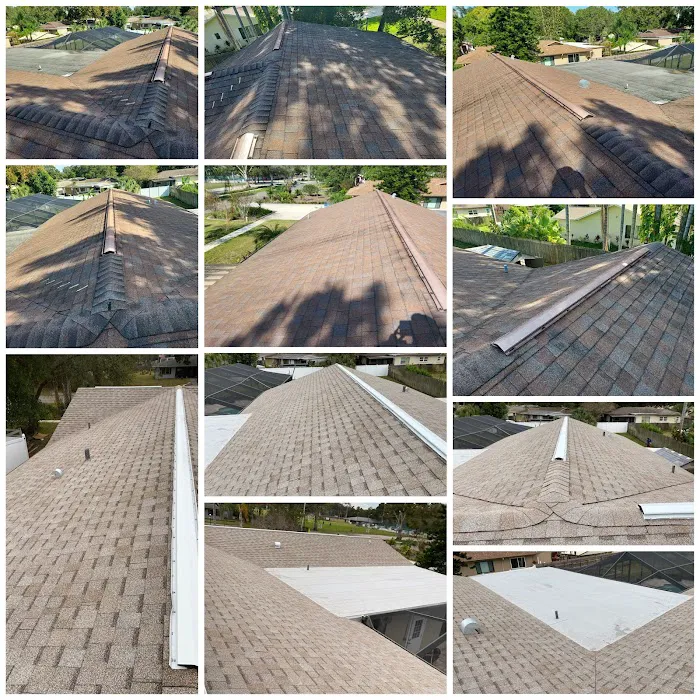 Mitchell and Sons Roofing Pinellas Picture 1
