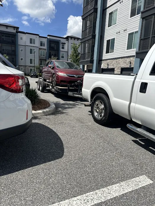 E Luxy Group Picture 2