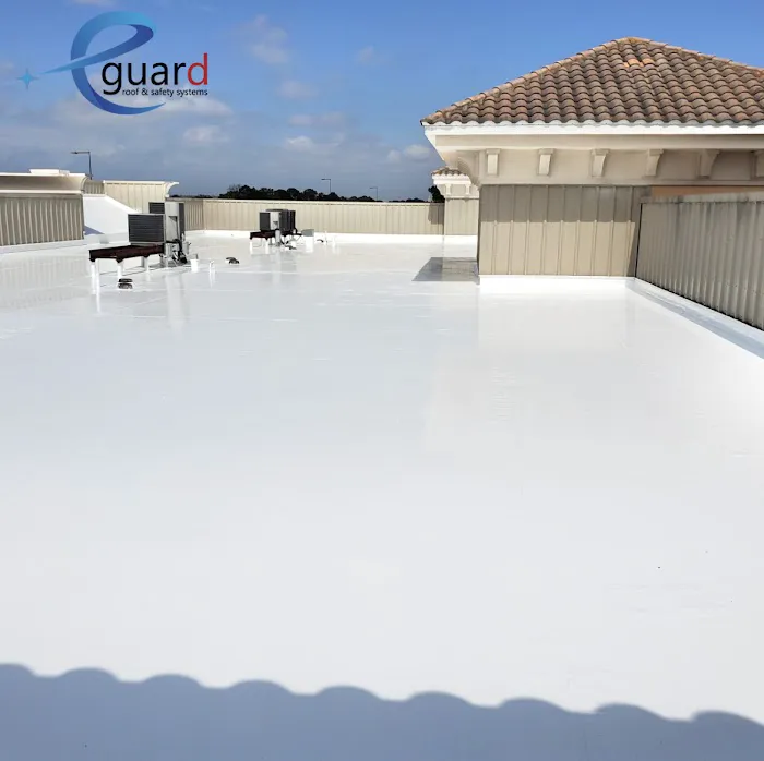 eGuard Roofing Picture 1
