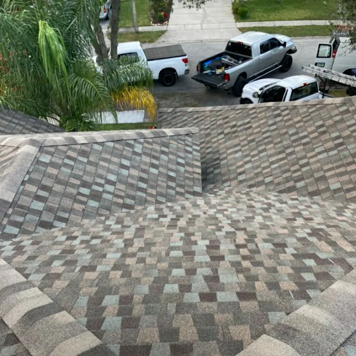 Level Roofing Picture 7