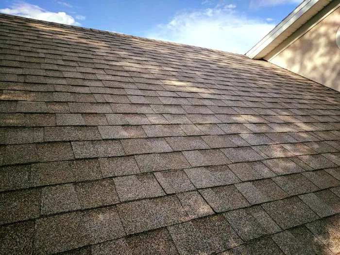 Sunshine State Roofing of Florida Picture 6