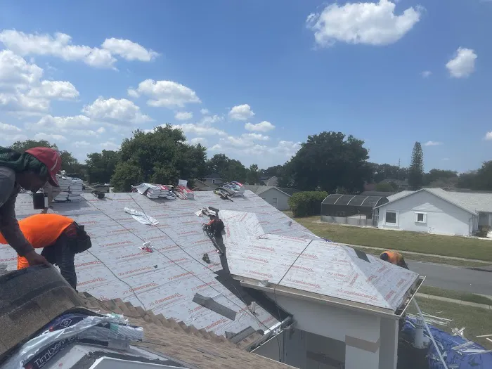 RedHead Roof Consultations Picture 7