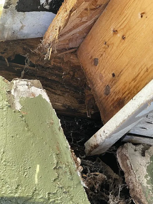 RedHead Roof Consultations Picture 5