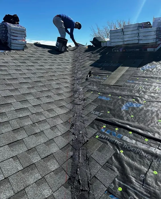 Platinum Roofing and Exteriors Ocala Picture 9