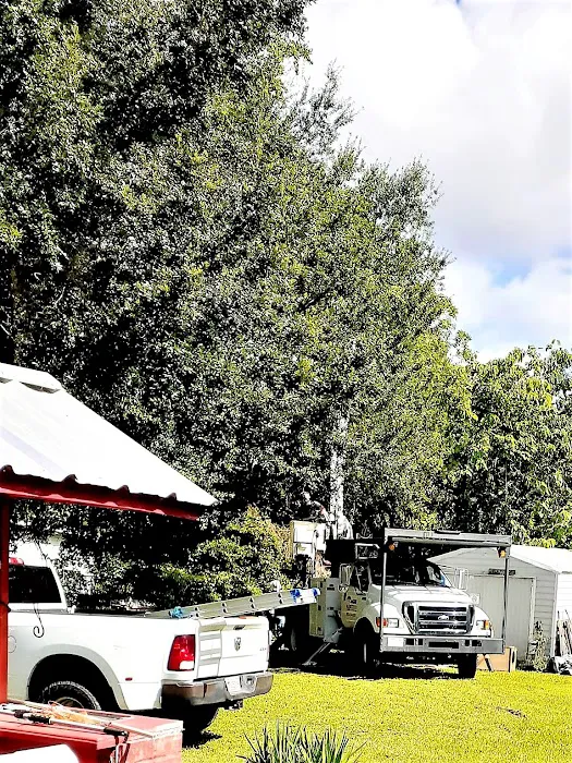 AGM Roofing Picture 8