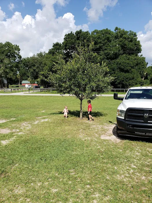 AGM Roofing Picture 5