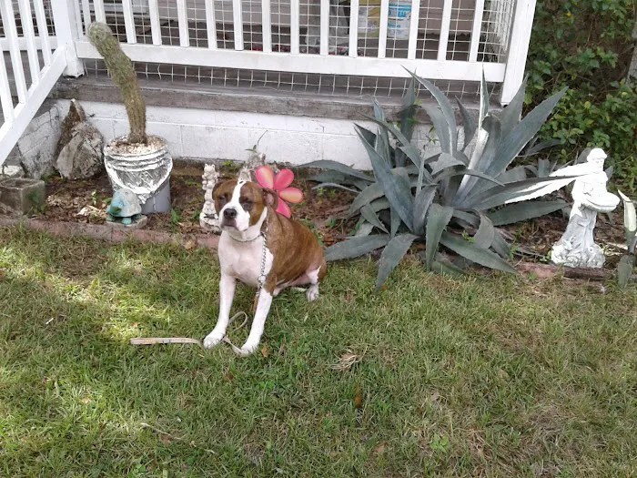 Ward Construction & Roofing Picture 2