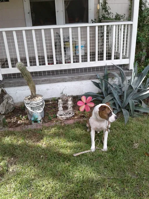Ward Construction & Roofing Picture 1