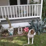 Ward Construction & Roofing