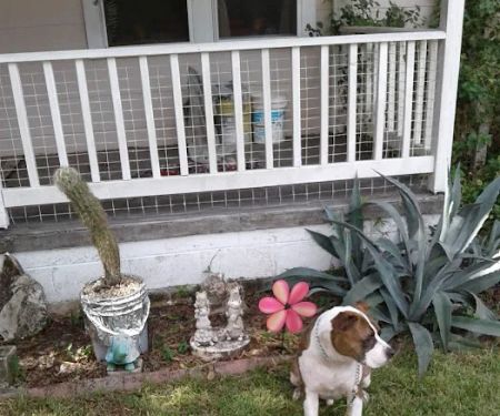 Ward Construction & Roofing