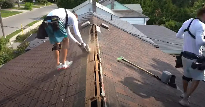 Saint Petersburg Shield Roof Pro Picture 3