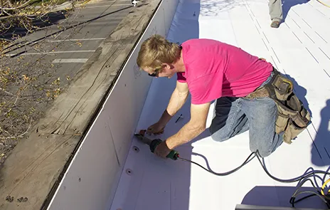 Saint Petersburg Shield Roof Pro Picture 1