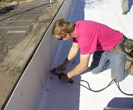 Saint Petersburg Shield Roof Pro