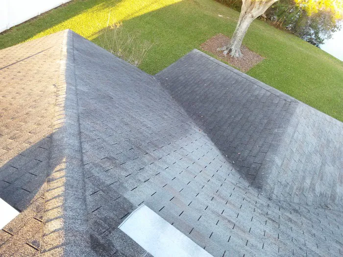 LB Enterprises Picture 1