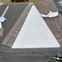 Polo Contractors Corp ico