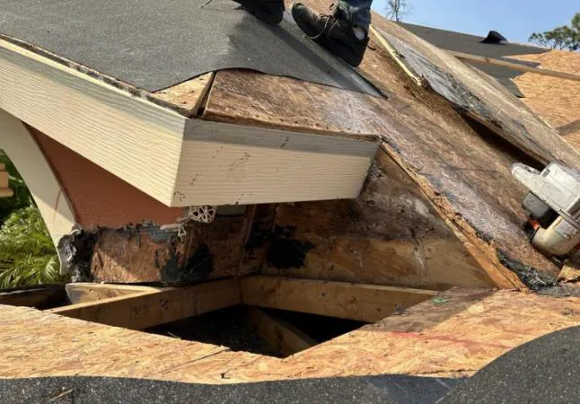 Polo Contractors Corp Picture 8