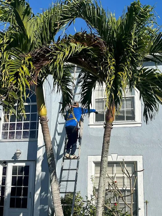 Big Roofing USA Picture 10