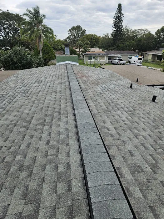A Birds Eye View Roofing Picture 7
