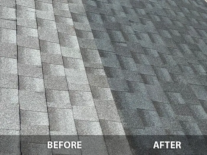 Shingle Guard Picture 3