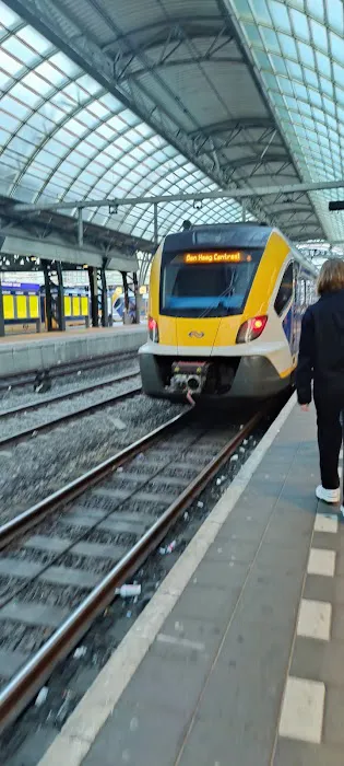 AMS Central Picture 1