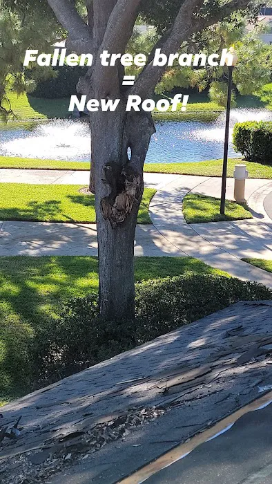 Sunshine Roofing Ocoee, Inc. Picture 7