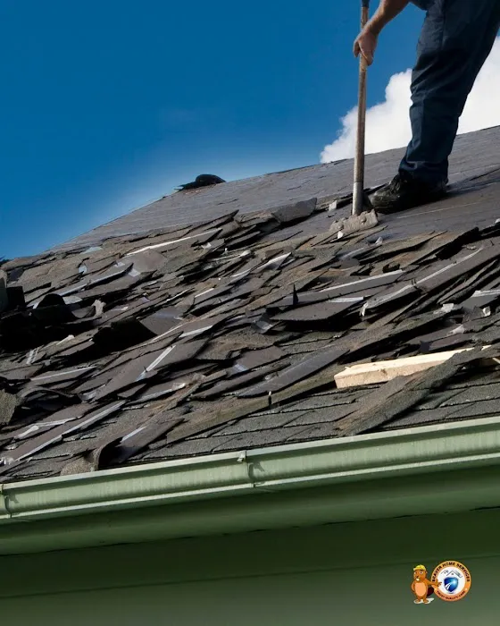 Beaver Home Services Picture 5