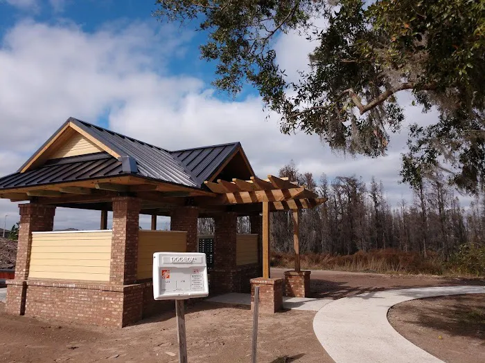 FNF Roofing Inc Picture 4