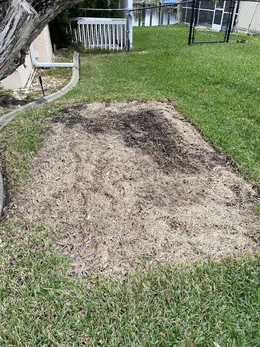 Elevate Roofing and Exteriors Picture 3