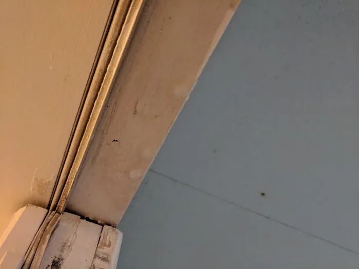 Allied Roofing Contractors Picture 1