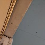 Allied Roofing Contractors