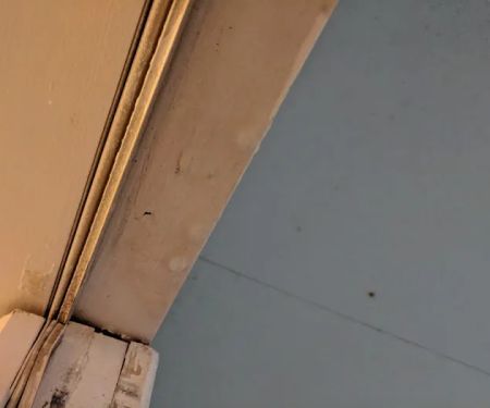 Allied Roofing Contractors