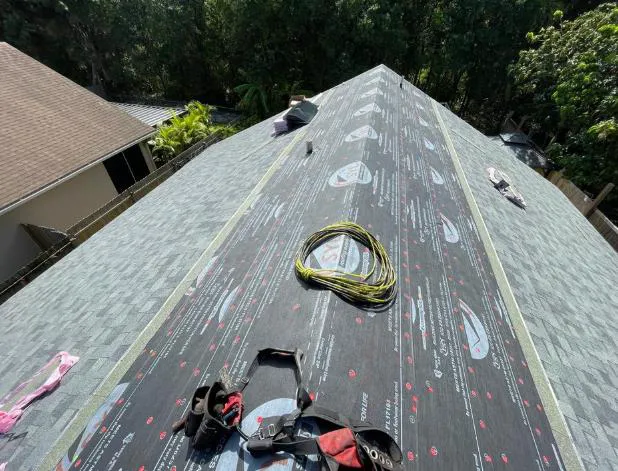 Osmin Roofing Picture 1