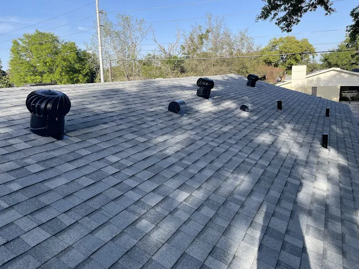 Panther Roof Picture 2