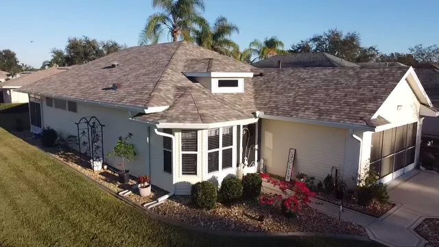 Panther Roof Picture 1