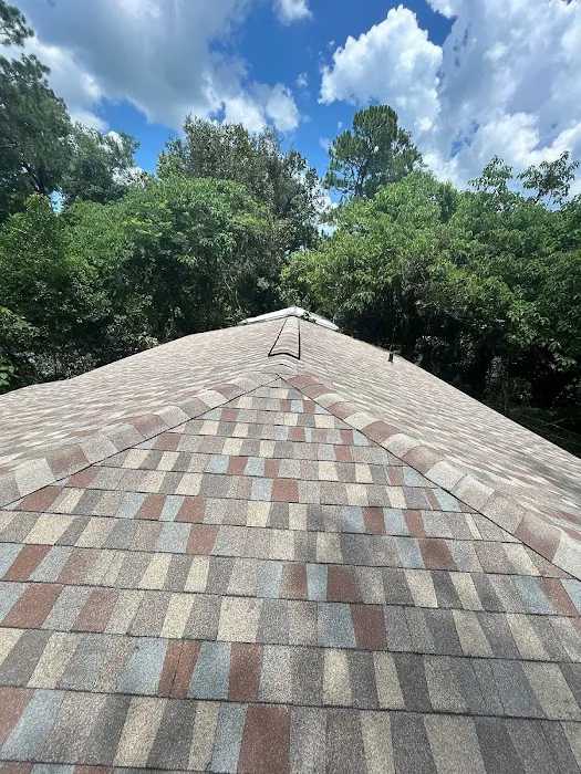 True Force Roofing Picture 1