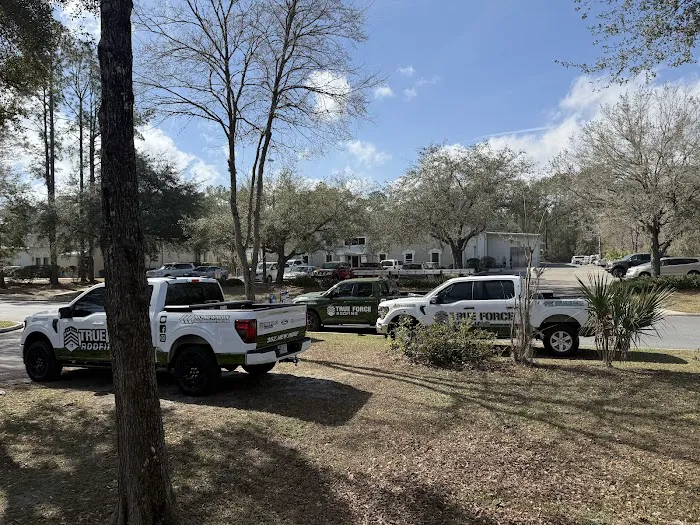 True Force Roofing Picture 10