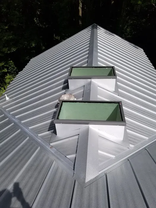 Hickman Metal Roofing Picture 4