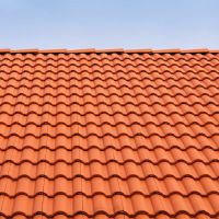 Elite Advanced Services Research & Development ico