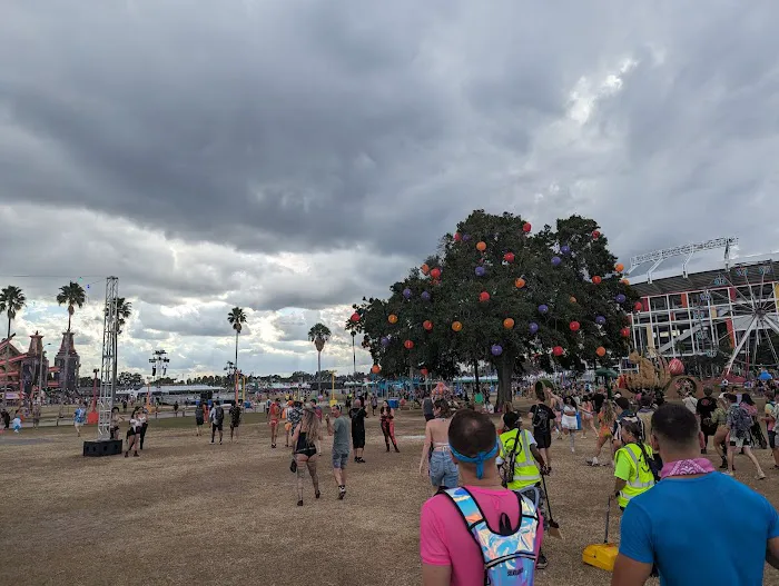 RSS Roofing Services & Solutions Florida Picture 1