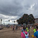 RSS Roofing Services & Solutions Florida